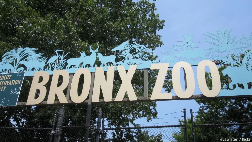 Bronx Zoo :: Bronx, New York